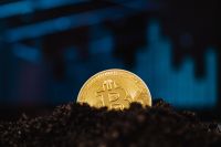 Kaboompics - Bitcoin Coin on Soil With Blue Market Chart