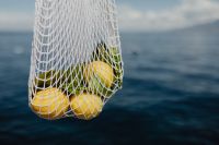 Kaboompics - Net Shopping Bag of Lemons over the Blue Sea