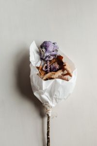 Kaboompics - Minimal Dried Leaf Bouquet with White Paper Wrap and Copy Space
