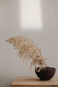 Kaboompics - Close-Up of Pampas Grass in Brown Ceramic Vase on Oak Table, Warm Neutral Background