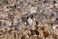 Kaboompics - Abstract Seawater Surface with Foamy Ripples over Pebbles