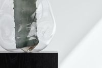 Kaboompics - Agave Leaf In Glass Vase On Black Pedestal With Geometric Sunlight