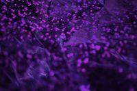 Kaboompics - Scattered Ultra Violet Bokeh on a Soft-Focus Dark Background