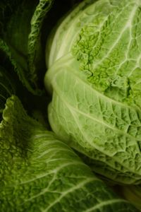 Kaboompics - Pale Green Cabbage Head and Leaves, Macro Vegetable Texture