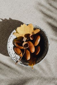 Kaboompics - Top View of Bowl of Acorns and Yellow Oak Leaf