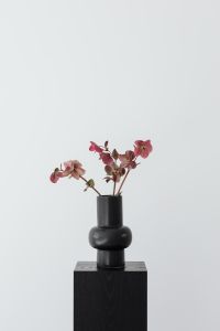 Kaboompics - Pink Hellebores in a Black Sculptural Vase with Negative Space