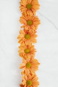 Kaboompics - Vertical Chrysanthemum Line on Marble with Negative Space