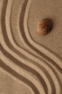 Kaboompics - Seashell on Curved Sand Patterns
