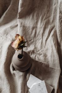Kaboompics - Dried Rose in a Sculptural Vase Beside a Marble Sample
