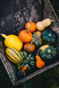 Autumn Pumpkin and Gourd Backgrounds and Fall Flat Lays