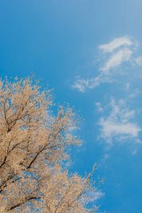 Kaboompics - Real Jardin Botanico, Madrid, Spain