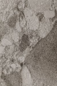 Kaboompics - Rough Gray and White Stone Texture