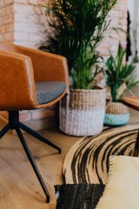 Kaboompics - Details of modern interior with green plants