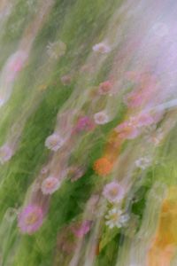 Dreamy Floral Motion Blur Backgrounds with Soft Pastel Flowers