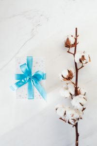 Kaboompics - Overhead Gift and Cotton Branch Still Life with Large Copy Space