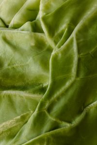 Kaboompics - Overlapping Green Cabbage Leaves, Abstract Vegetable Texture