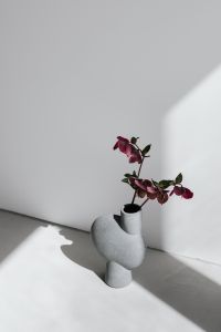Minimalist Flower Arrangements and Vase Styling for Modern Interiors