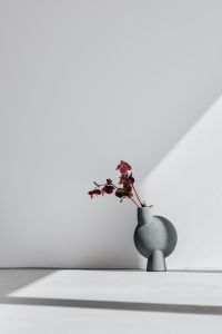 Kaboompics - Gray Sculptural Vase with Hellebores in Sunlight