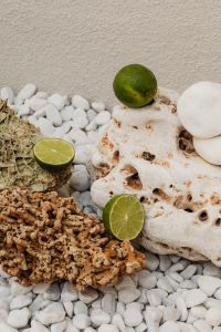 Kaboompics - Citrus Fruit Still Life on Natural Stone and White Pebbles