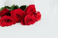 Kaboompics - Close-Up Red Rose Bouquet with Green Leaves