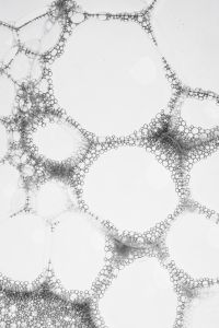 Kaboompics - Soft Bubble Texture With Subtle Circular Forms
