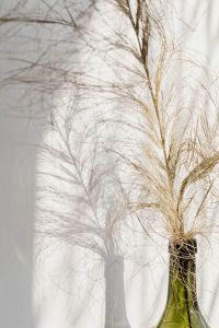 Kaboompics - Airy Pampas Grass and Green Vase in Sunlit Window Light for Neutral Home Decor