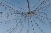 Kaboompics - Hanging Christmas Lights Viewed from Below
