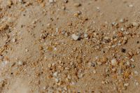 Kaboompics - Sand beach background with sea shells & pebbles - many round small stones