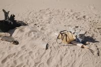 Kaboompics - Distant Beach Essentials on the Shoreline