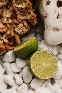 Kaboompics - Sliced Lime on White Pebbles and Porous Stone