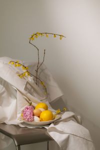 Kaboompics - Minimal Easter Background with Eggs, Lemon and Forsythia on White Linen