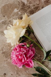 Kaboompics - Cream and Pink Flowers with Open Book on Marble Table