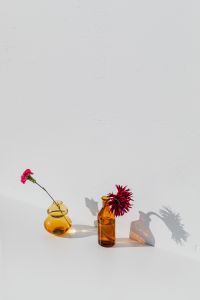 Kaboompics - Pink and Red Carnations in Amber Glass Vases with Long Sunlit Shadows
