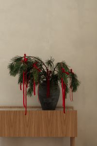 Kaboompics - Minimal Holiday Pine Arrangement with Red Ribbons on Wooden Console