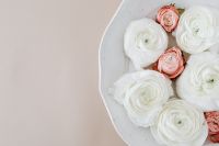 Kaboompics - White Ranunculus and Blush Roses on Neutral Background with Copy Space