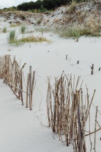 Kaboompics - Baltic Beach Dunes with Dry Grass and Rustic Stick Fencing