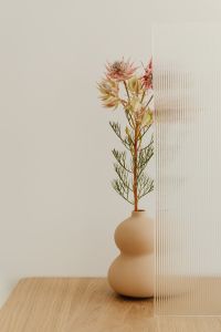 Kaboompics - Blush Textured Flower Stem in Sculptural Beige Vase Beside Ribbed Glass, Neutral Home Decor
