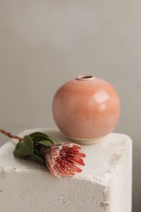 Kaboompics - Floral Still Life against White Textile Folds