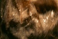 Kaboompics - Warm Gold Abstract Light Painting with Brown Motion Blur Texture for Design Backgrounds