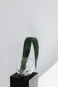 Kaboompics - Minimal Agave Plant Arrangement With Glass Vase And Black Plinth