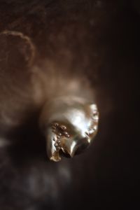 Kaboompics - Iridescent Seashell Macro Detail on Dark Brown Background