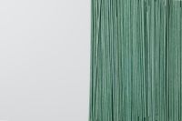 Kaboompics - Rice Spaghetti - Green - Gluten Free