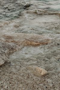 Kaboompics - Foamy Sea Water Washing Over a Rocky Shore