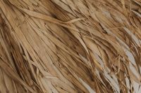 Kaboompics - Layered Dried Grass Texture in Natural Neutral Tones