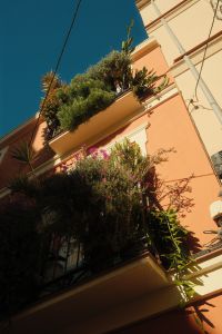 Kaboompics - Sunlit Pink Apartment Building with Balcony Gardens