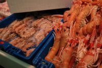 Kaboompics - Fresh Langoustines and Shrimp Displayed on Ice at a Seafood Market