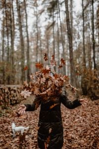 Kaboompics - Woman Tossing Autumn Leaves in a Forest with a Small White Dog Nearby