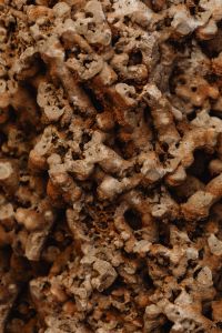 Kaboompics - Rust-Toned Limestone Cavities and Mineral Formations, Rough Stone Pattern