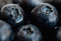 Kaboompics - Blueberries Backgrounds