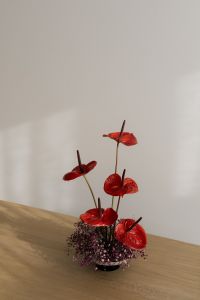 Kaboompics - Red Anthurium Ikebana Flower Arrangement
